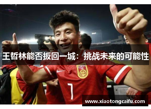 王哲林能否扳回一城：挑战未来的可能性